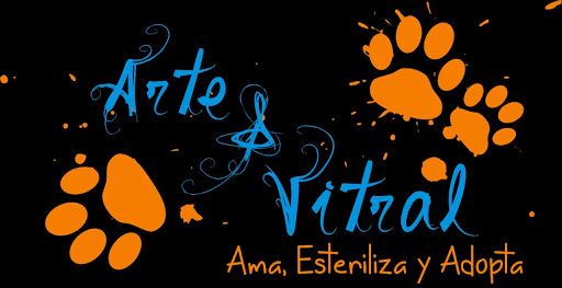 Arte & Vitral