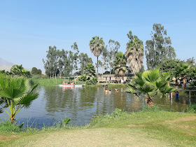 Laguna Santa Rosa