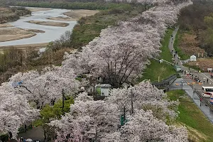 Sakura Deai Hall Watchtower image