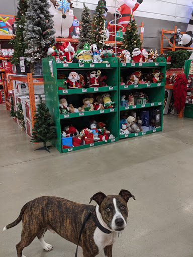 Home Improvement Store «The Home Depot», reviews and photos, 21000 Libby Rd, Maple Heights, OH 44137, USA