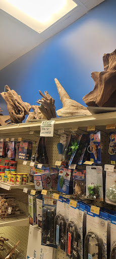 Pet Store «Olathe Pet Shop», reviews and photos, 16651 151st St, Olathe, KS 66062, USA