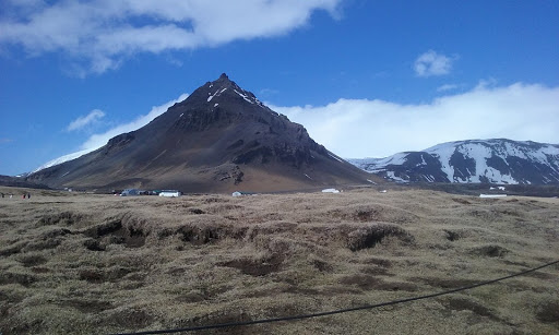 Travel Agency «World Class Travel», reviews and photos, 561 Cedar Rd #4, Chesapeake, VA 23322, USA