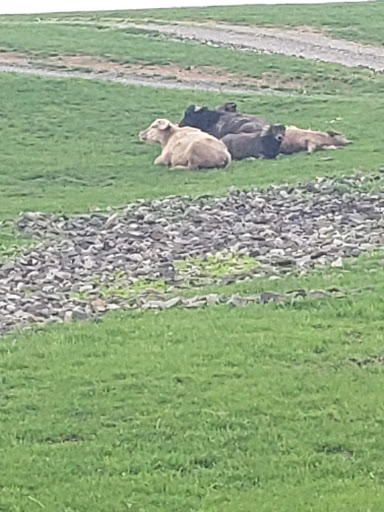 Park «Lake Tobias Wildlife Park», reviews and photos, 760 Tobias Road, Halifax, PA 17032, USA