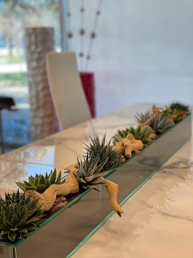 Furniture Store «Euro Living Modern Furniture store Dallas Texas», reviews and photos, 4200 Harry Hines Blvd, Dallas, TX 75219, USA