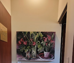 137 Murray street guest house photo
