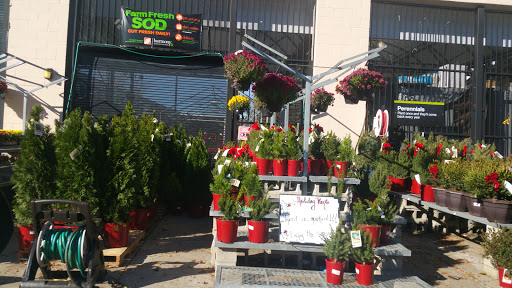 Home Improvement Store «The Home Depot», reviews and photos, 1213 VFW Pkwy, West Roxbury, MA 02132, USA