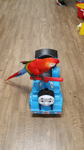 Pet Supply Store «PetSmart», reviews and photos, 33963 Doheny Park Rd, San Juan Capistrano, CA 92675, USA