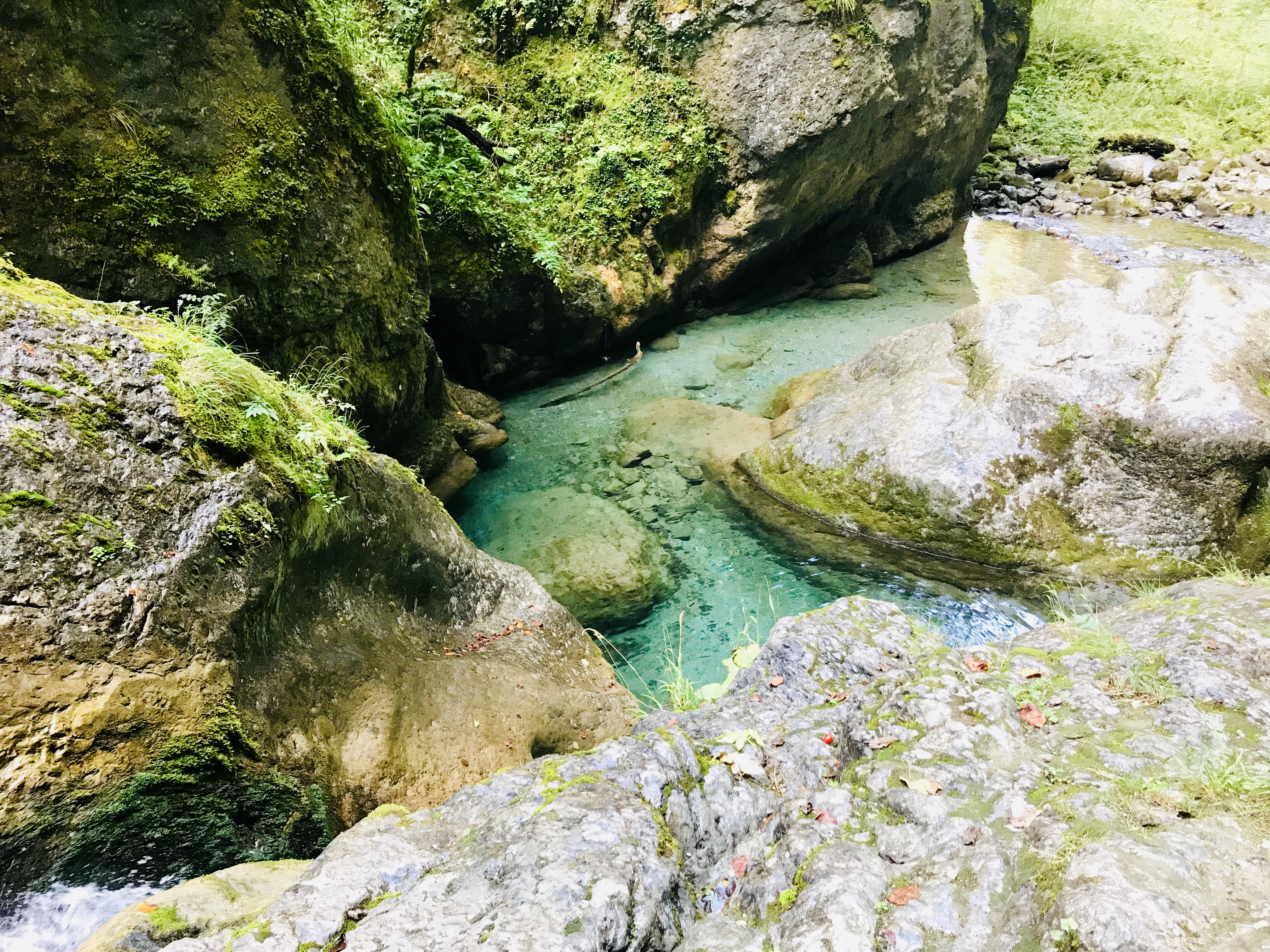 Photo n° 1 de l'avis de gaelle.e fait le 15/09/2019 à 14:33