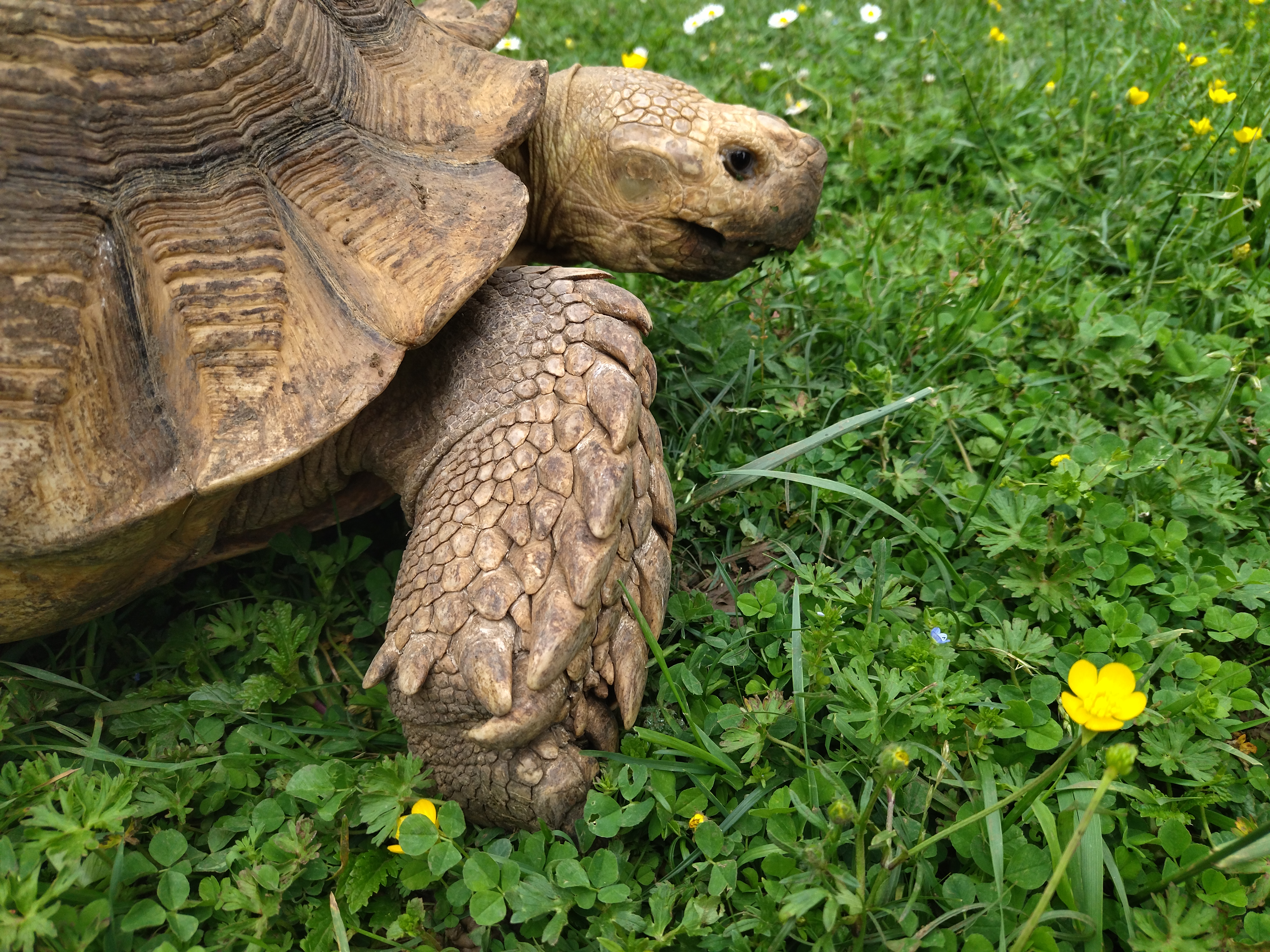 Photo n° 1 de l'avis de Pau.e fait le 07/05/2022 à 09:12