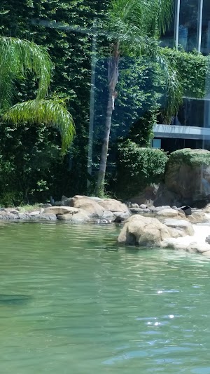 Rainforest Pyramid - photo 66