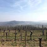 Photo n°7 de l'avis de Lorenzo. fait le 21/02/2019 à 12:17 sur le  Le Badie à Manzano