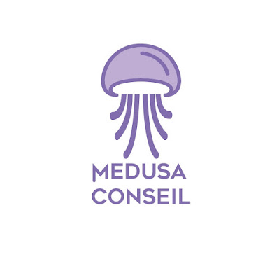 Medusa Conseil à Grenoble