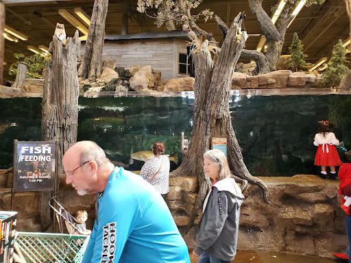 Sporting Goods Store «Bass Pro Shops», reviews and photos, 5000 Katy Mills Cir #415, Katy, TX 77494, USA