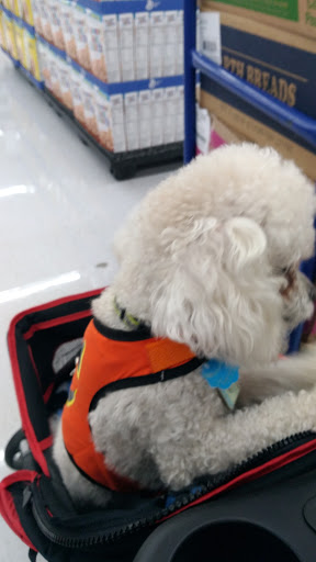 Discount Store «Walmart», reviews and photos, 777 Brockton Ave, Abington, MA 02351, USA