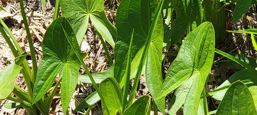 Public Golf Course «Apple Valley Golf Course», reviews and photos, 8661 140th St W, Apple Valley, MN 55124, USA