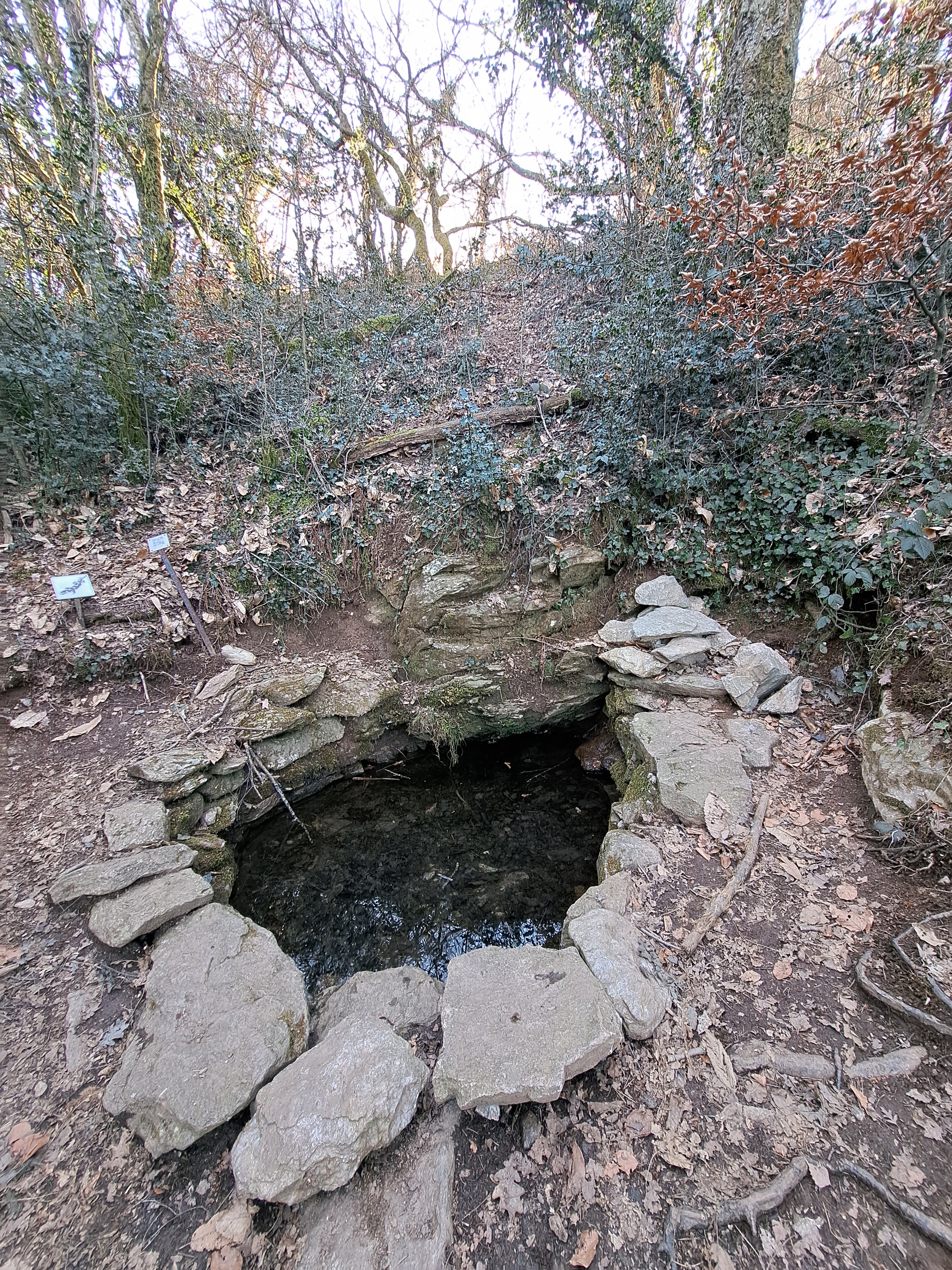 Photo n° 21 de l'avis de LABIDOIRE.a fait le 12/02/2023 à 18:09