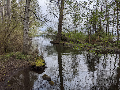 Park «Matthews Beach Park», reviews and photos, 5100 NE 93rd St, Seattle, WA 98115, USA
