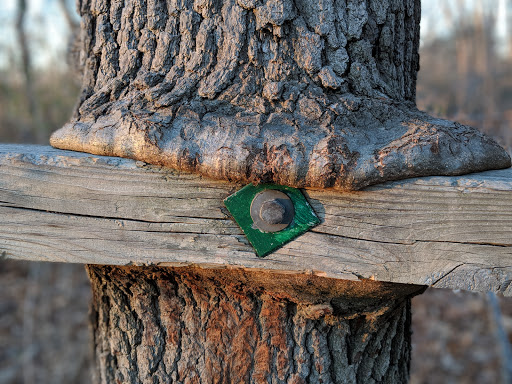 Park «Bare Cove Park», reviews and photos, Bare Cove Park Dr & Fort Hill St, Hingham, MA 02043, USA