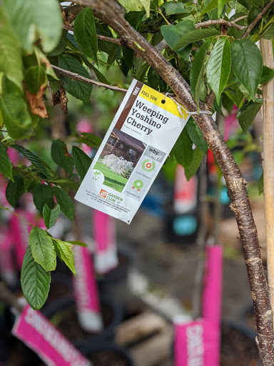 Home Improvement Store «The Home Depot», reviews and photos, 6190 Mid Rivers Mall Dr, St Peters, MO 63304, USA