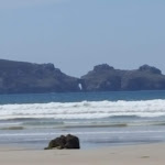 Photo n° 2 de l'avis de Virginie.c fait le 25/07/2019 à 16:27 pour Parking plage de Kerloc'h à Crozon