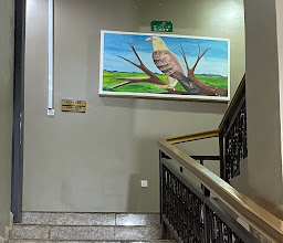 Emerald Royal Suites photo