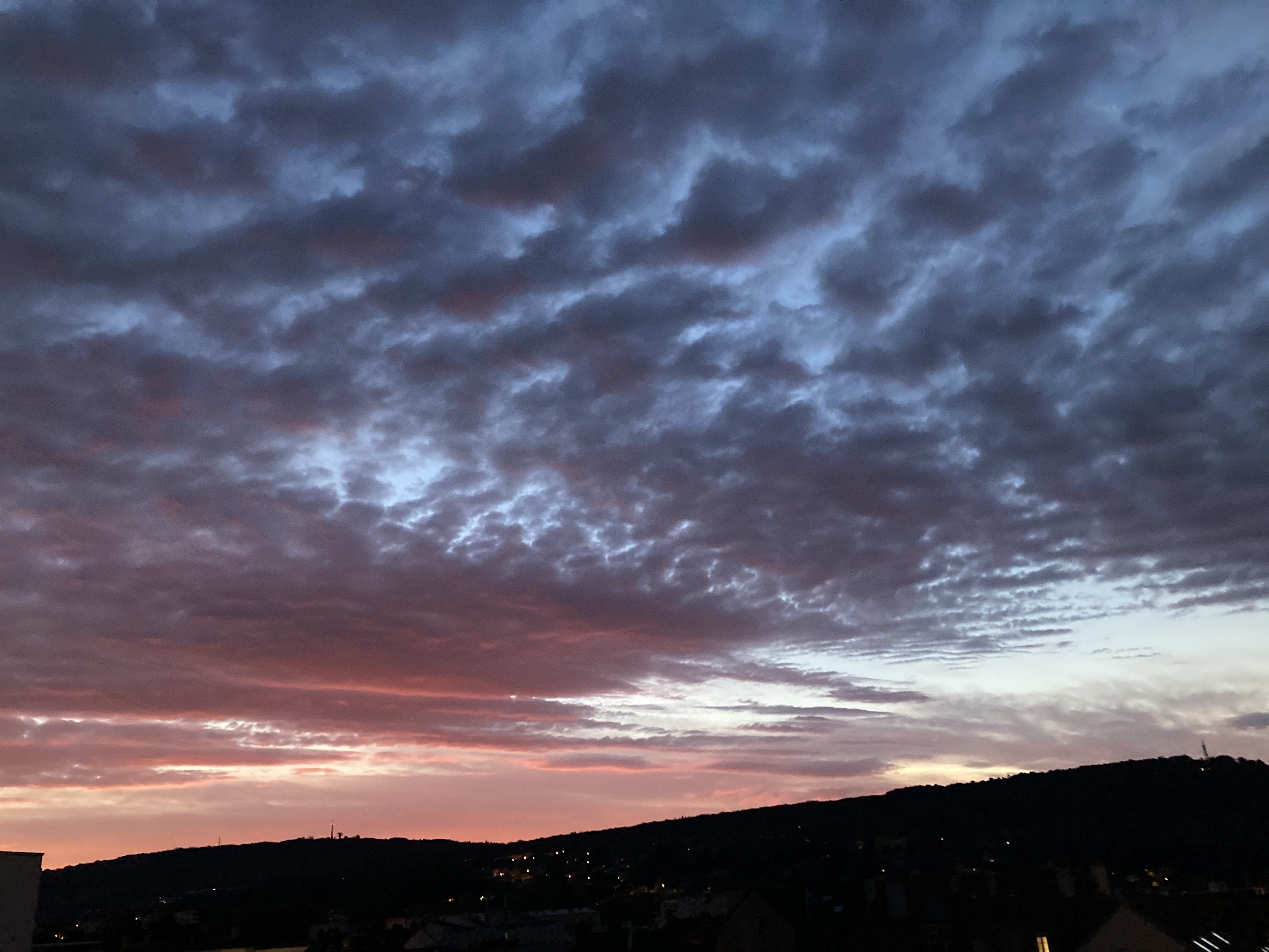 Photo n° 1 de l'avis de Anne.a fait le 15/11/2021 à 16:38