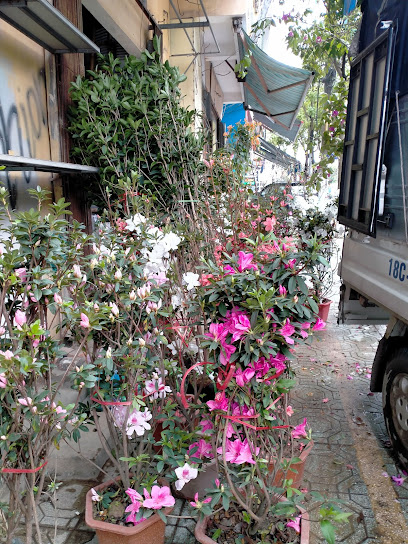 Cửa hàng Thế giới hoa cây cảnh Hương Mai