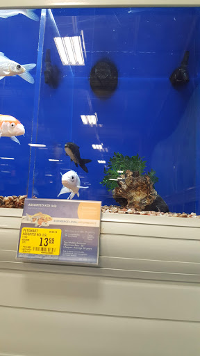 Pet Supply Store «PetSmart», reviews and photos, 2929 James Sanders Blvd f, Paducah, KY 42001, USA