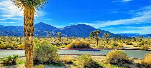 National Park «Joshua Tree National Park», reviews and photos