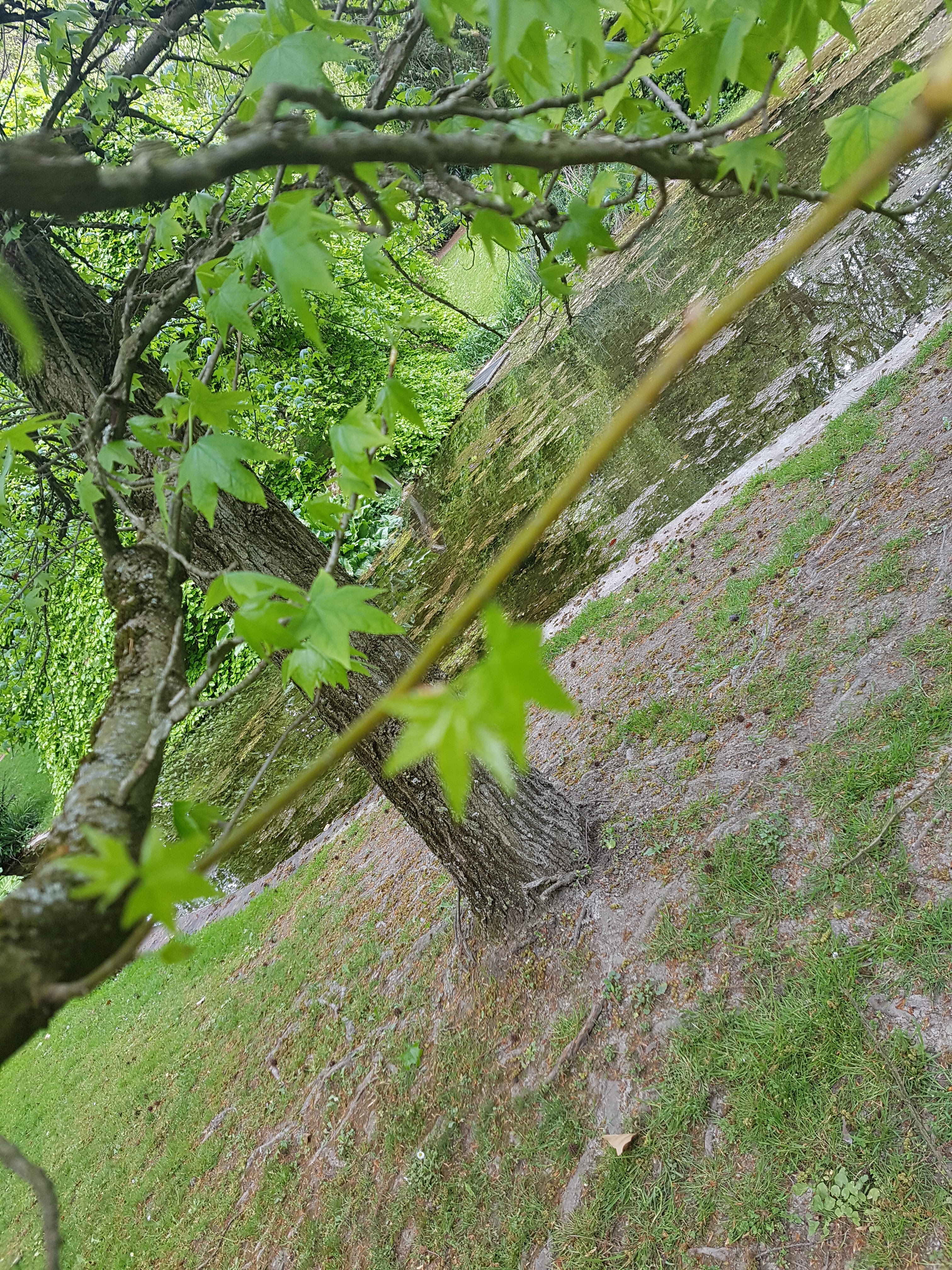 Photo n° 3 de l'avis de Merouane.o fait le 28/04/2019 à 16:36