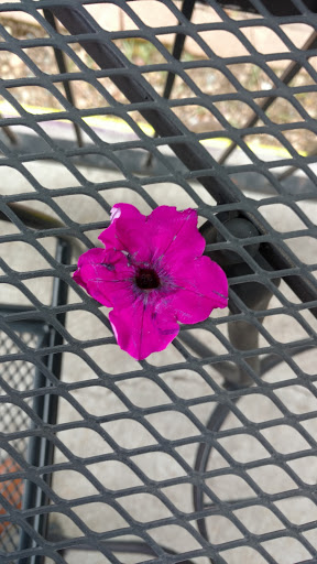 Greeting Card Shop «Wordshop», reviews and photos, 3180 Meade St, Denver, CO 80211, USA