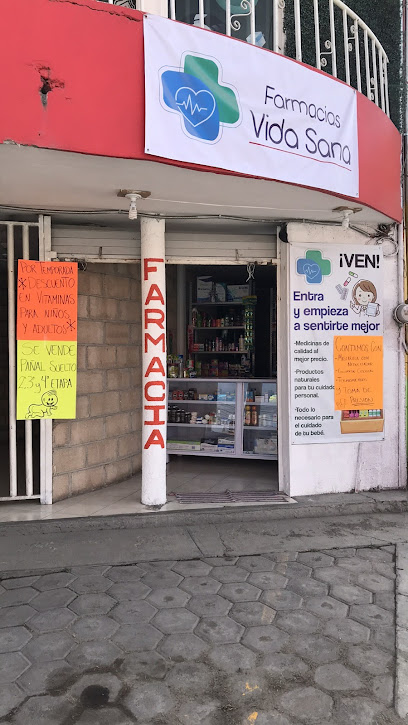 Farmacia Vida Sana, , San Bernardino Tlaxcalancingo