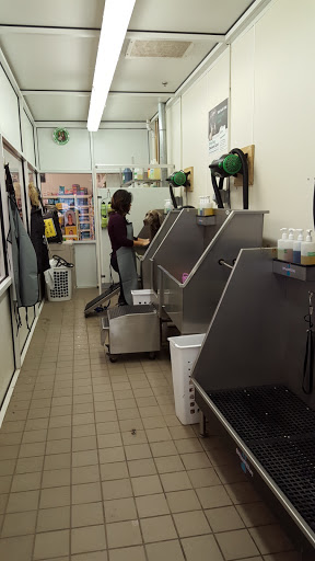 Pet Supply Store «Pet Supplies Plus», reviews and photos, 700 Nutt Rd, Phoenixville, PA 19460, USA