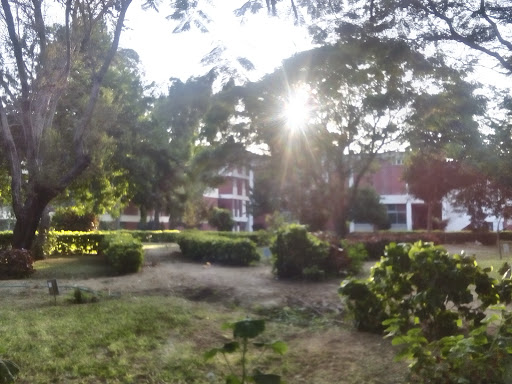 Ciencia Y La Amistad Park