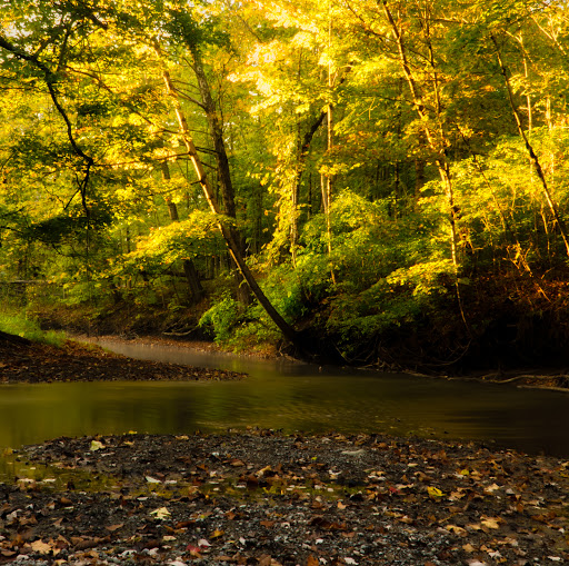 Mill «Sharon Mills County Park», reviews and photos, 5701 Sharon Hollow Rd, Manchester, MI 48158, USA