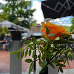 Photo n°1 de l'avis de Stefan.u fait le 18/06/2022 à 05:36 sur le  Latino Lounge Siegburg à Siegburg