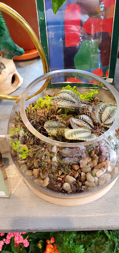 Florist «Toadflax Inc», reviews and photos, 5500 Walnut St, Pittsburgh, PA 15232, USA