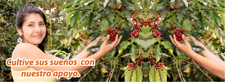 Contactar Microfinanciera