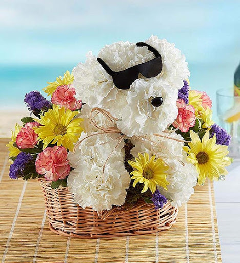 Florist «Creative Floral Designs», reviews and photos, 12158 Tech Rd, Silver Spring, MD 20904, USA