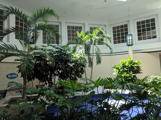 Shopping Mall «Military Circle Mall», reviews and photos, 880 North Military Highway, Norfolk, VA 23502, USA