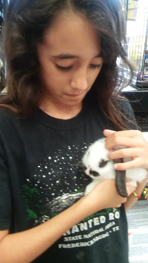 Pet Store «Petland Vineyard - San Antonio», reviews and photos, 1309 North Loop 1604 W #101, San Antonio, TX 78258, USA