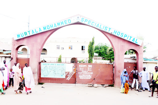 Murtala Muhammad Specialist Hospital, Kufar Mata Rd, Kano City, Kano, Nigeria, Art Gallery, state Kano