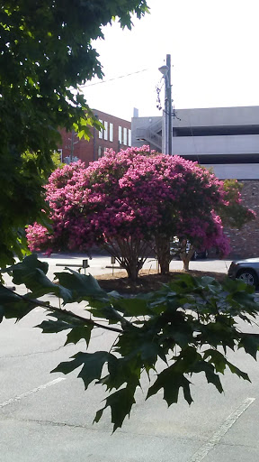 Baseball Club «Montgomery Biscuits Professional Baseball, L.L.C.», reviews and photos, 200 Coosa St, Montgomery, AL 36104, USA