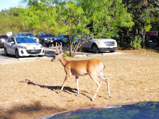 Park «O. P. Schnabel Park», reviews and photos, 9606 Bandera Rd, San Antonio, TX 78250, USA