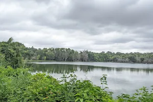 Sunkalpalya Lake Karnataka Forest Department image