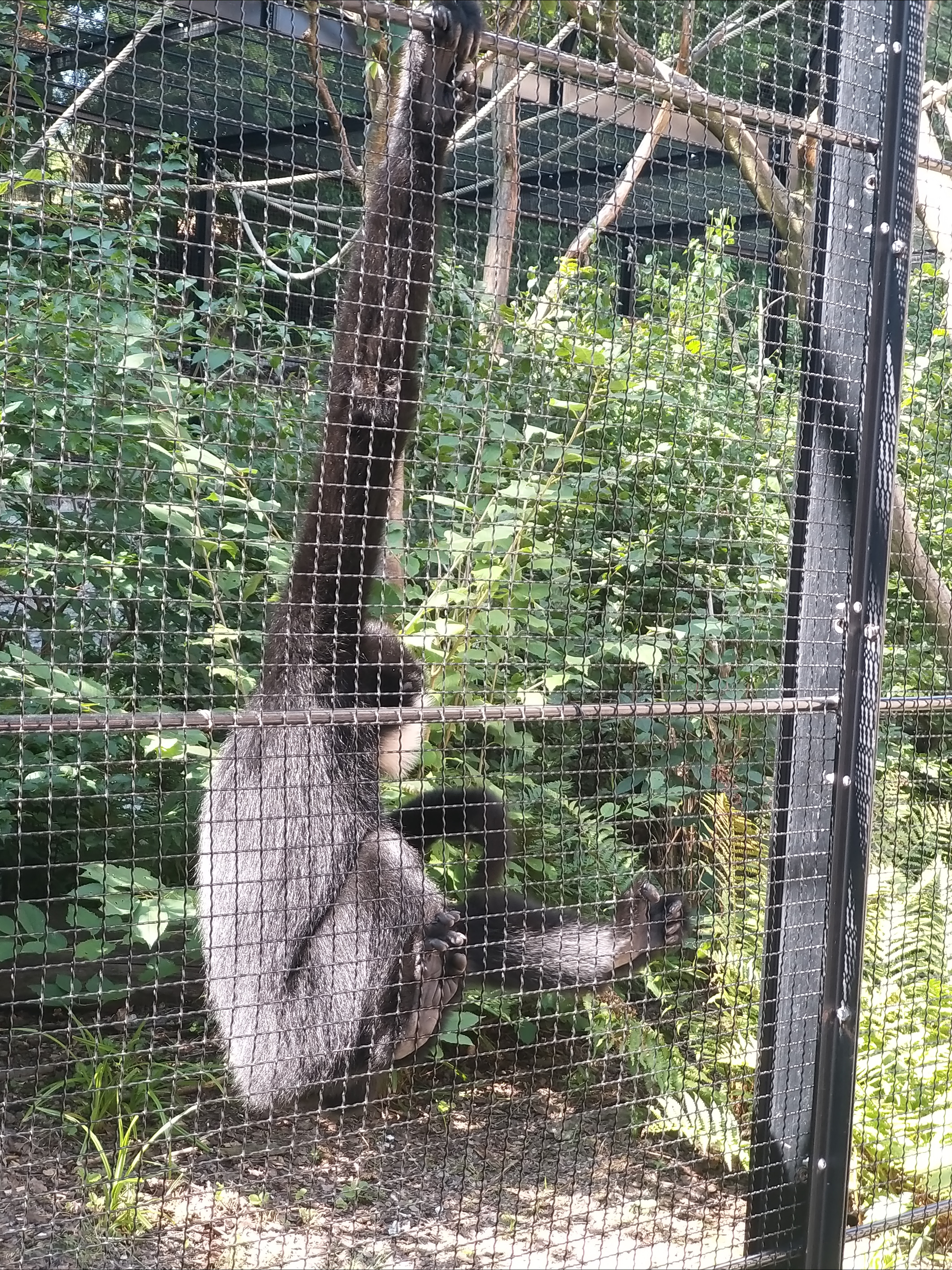 Photo n° 10 de l'avis de Angelique.a fait le 25/08/2019 à 15:14