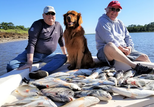 Marine Supply Store «West Marine», reviews and photos, 1347 Ribaut Rd g, Port Royal, SC 29935, USA