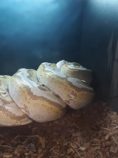 Pet Supply Store «Buckles Feed Depot & Pet Supply», reviews and photos, 220 S 4th St, Lafayette, IN 47901, USA