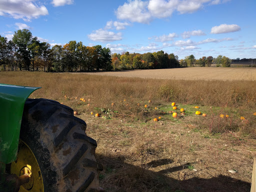 Tourist Attraction «Shawhaven Farm», reviews and photos, 1826 Rolfe Rd, Mason, MI 48854, USA