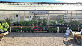 Mayfield Plant Nursery, Garden Centre and Cafe